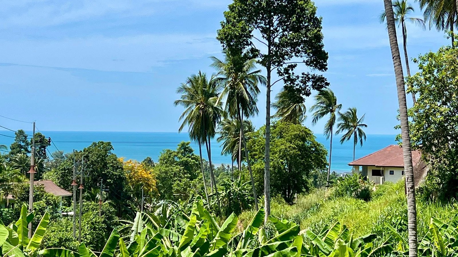 504017382_122184144212301692_5761883948525609089_n