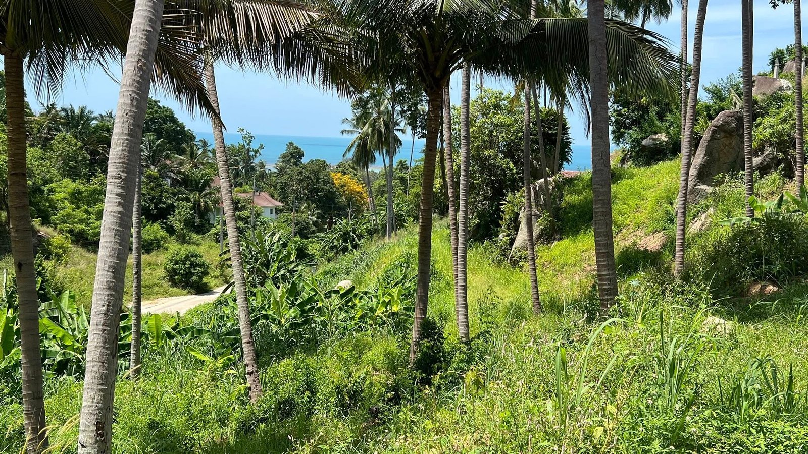 504158384_122184144248301692_6279212926934216082_n