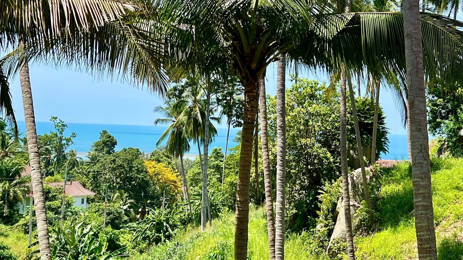 504167417_122184144236301692_6917362798783252468_n