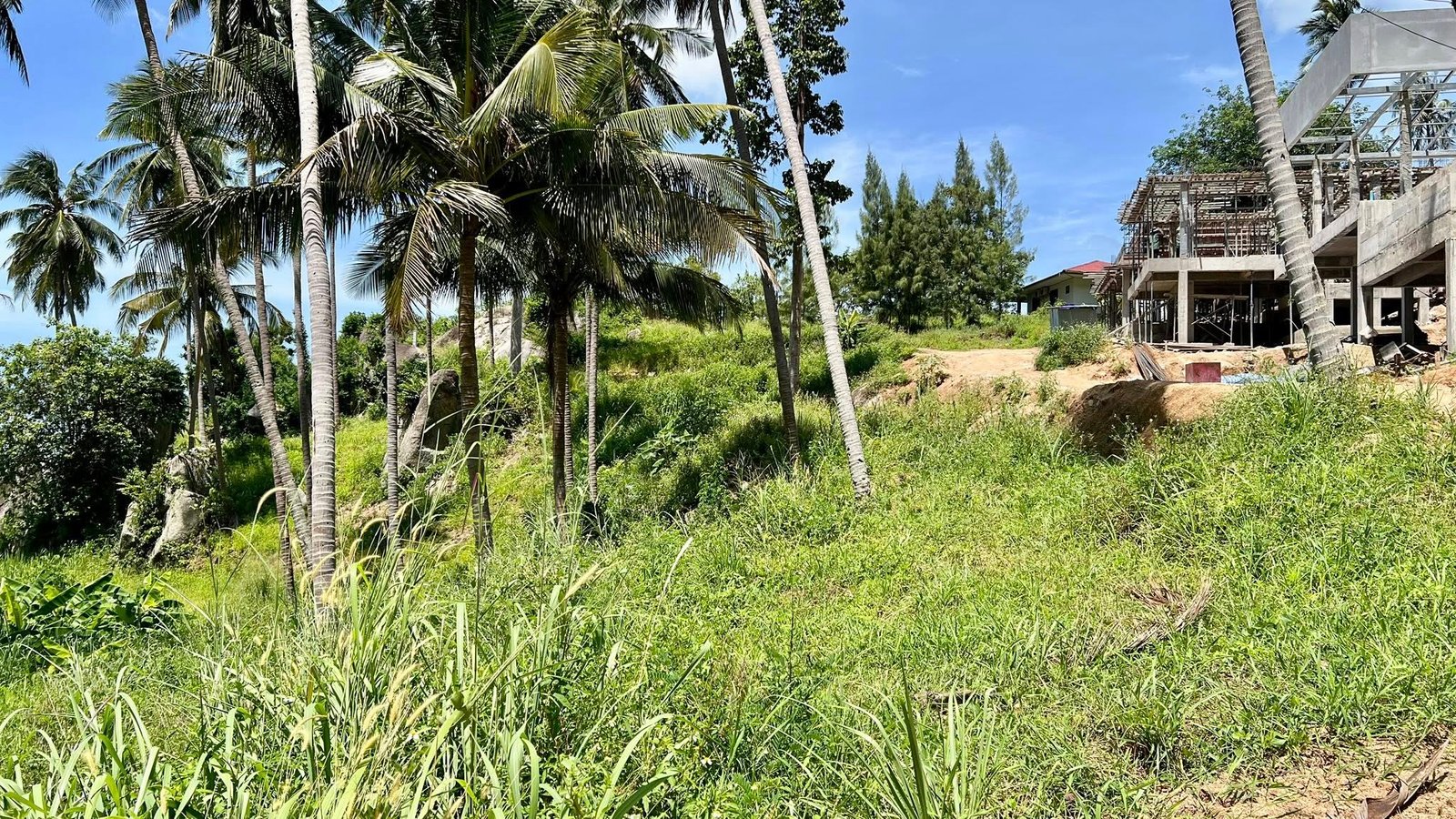 504353737_122184144284301692_4972108312573009323_n