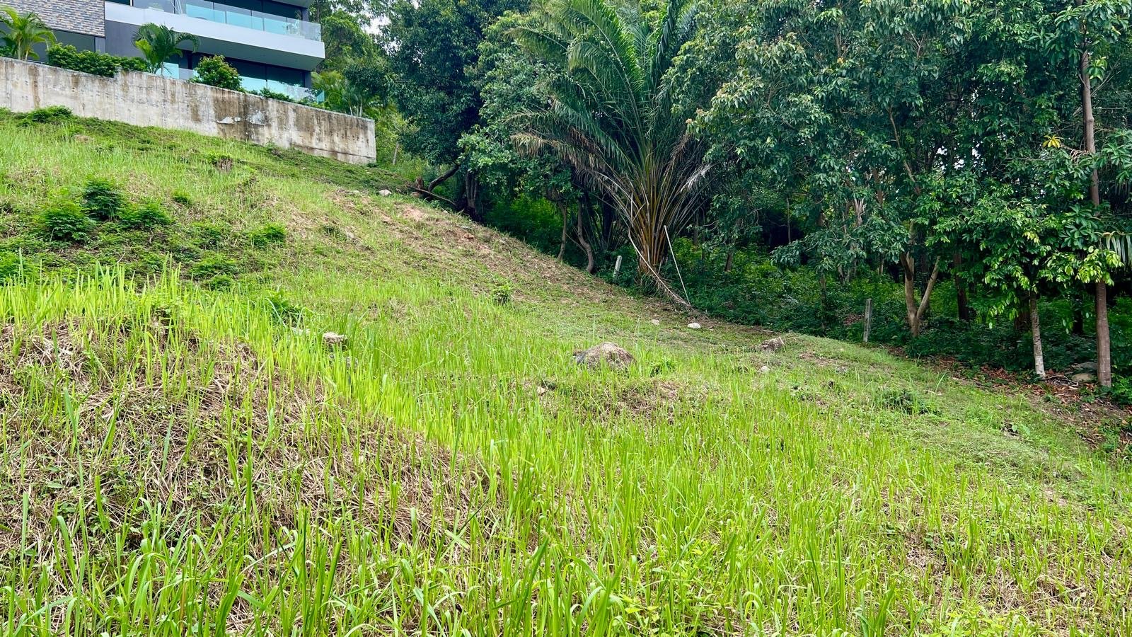 81004163-3773-45c7-b700-ac8428bccc7d