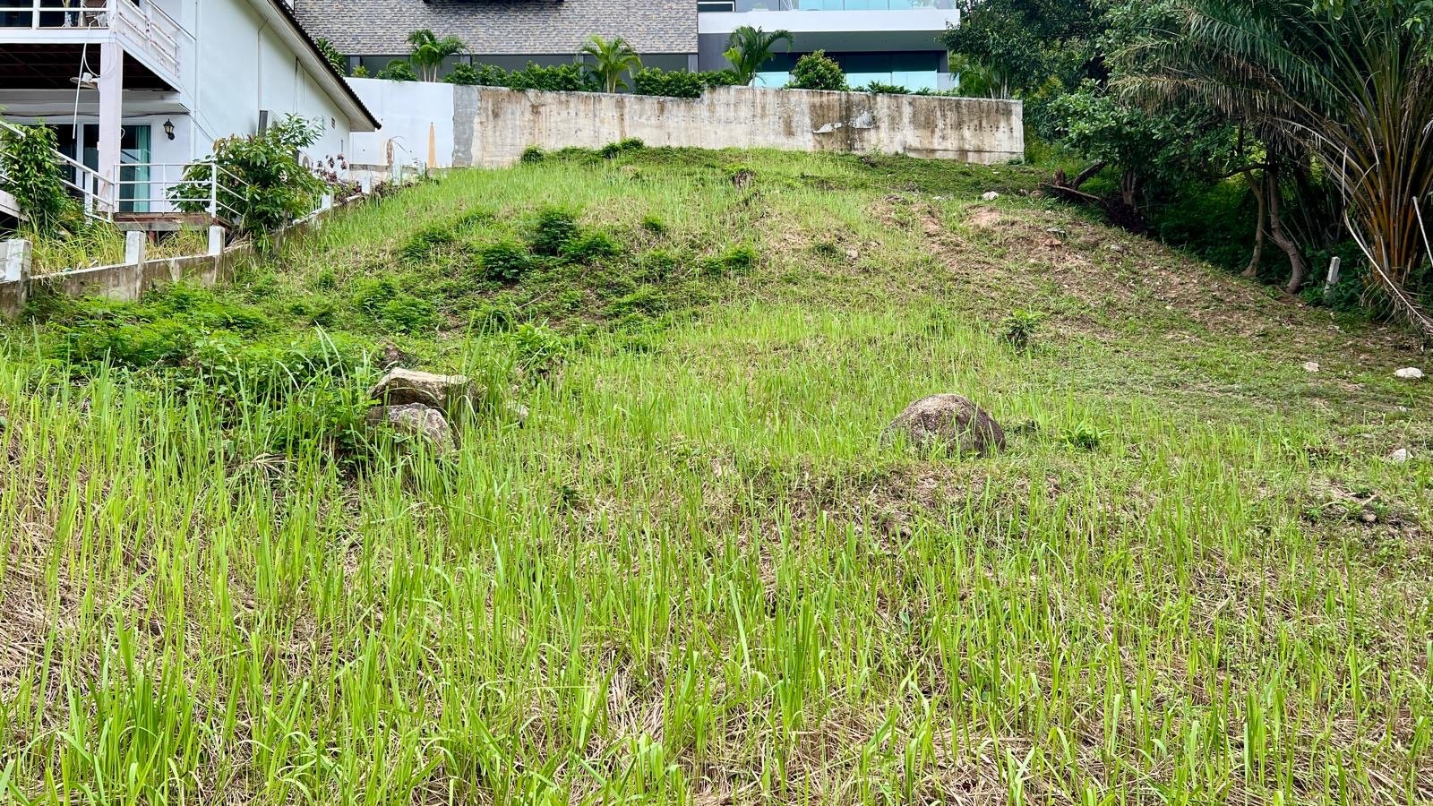 8f3d1b8b-233f-4dcb-9155-7051aa07e15c