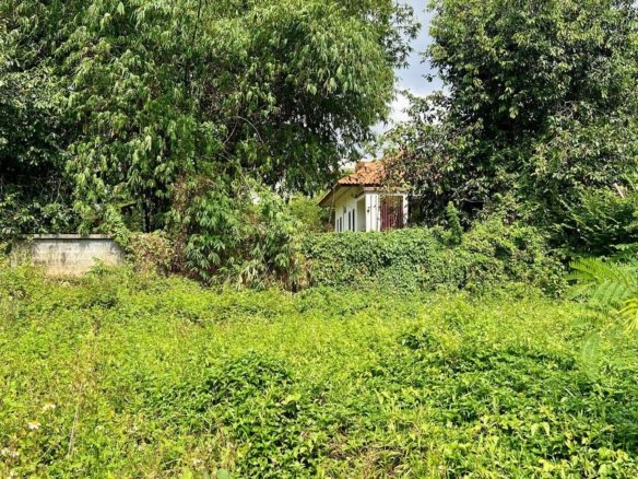 Terrain Résidentiel 536 m² Hua Thanon – Clos de Murs & Prêt à Bâtir – Chanote