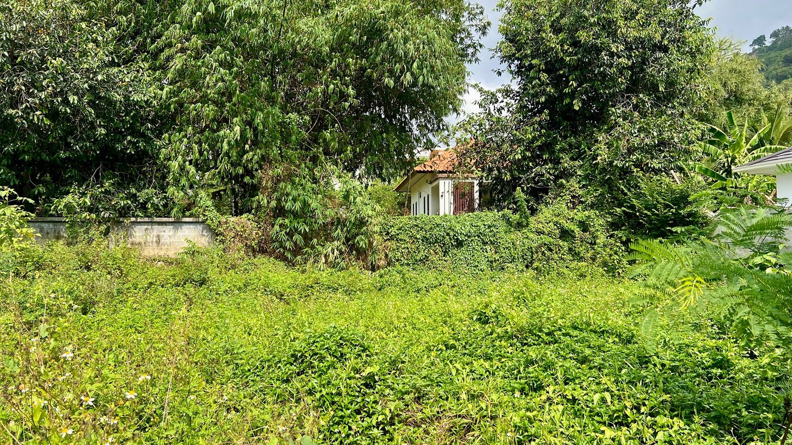 Terrain Résidentiel 536 m² Hua Thanon – Clos de Murs & Prêt à Bâtir – Chanote