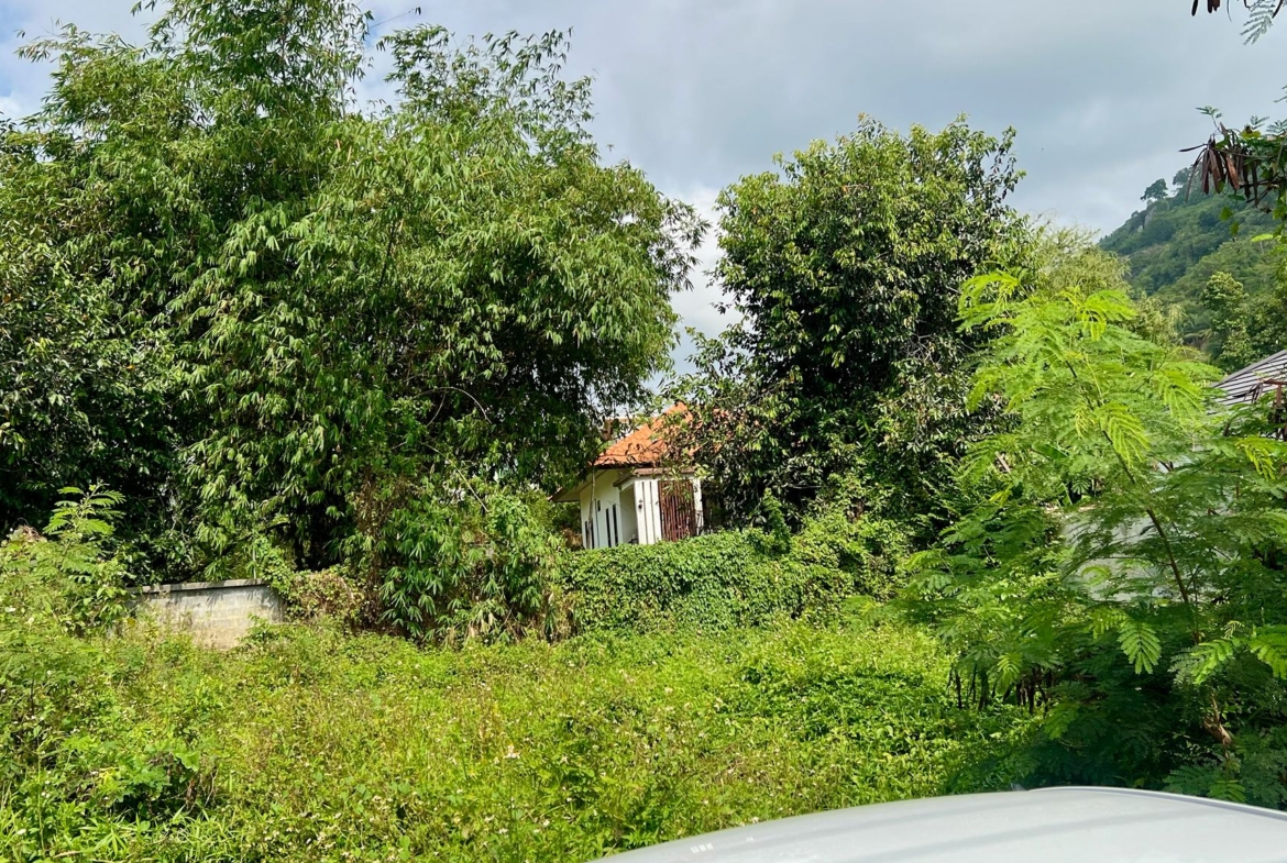 Terrain Résidentiel 536 m² Hua Thanon – Clos de Murs & Prêt à Bâtir – Chanote