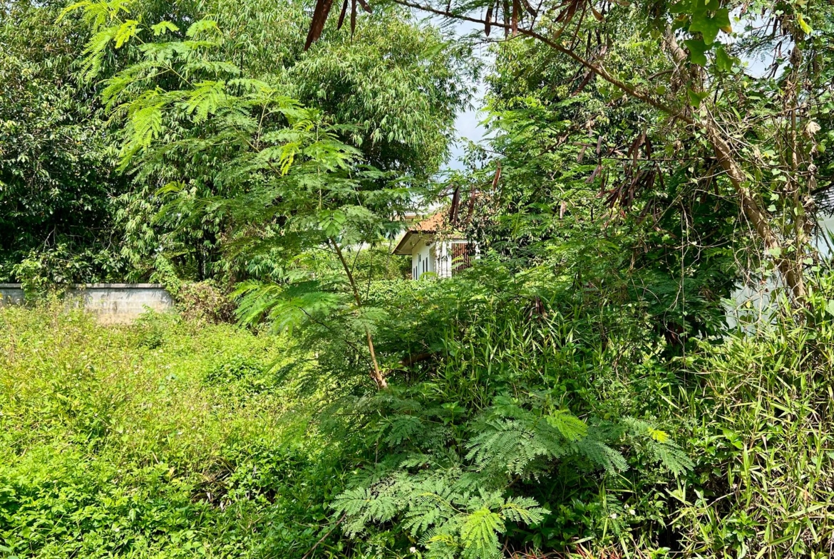 Terrain Résidentiel 536 m² Hua Thanon – Clos de Murs & Prêt à Bâtir – Chanote
