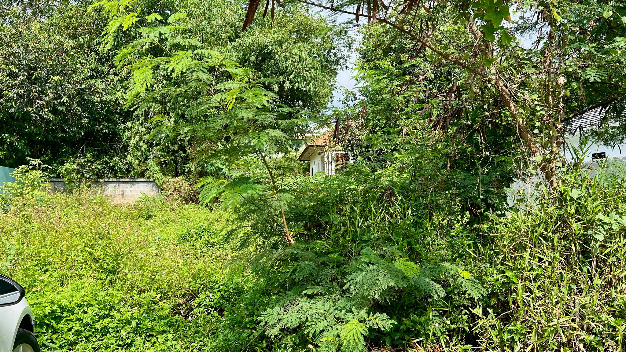 Terrain Résidentiel 536 m² Hua Thanon – Clos de Murs & Prêt à Bâtir – Chanote