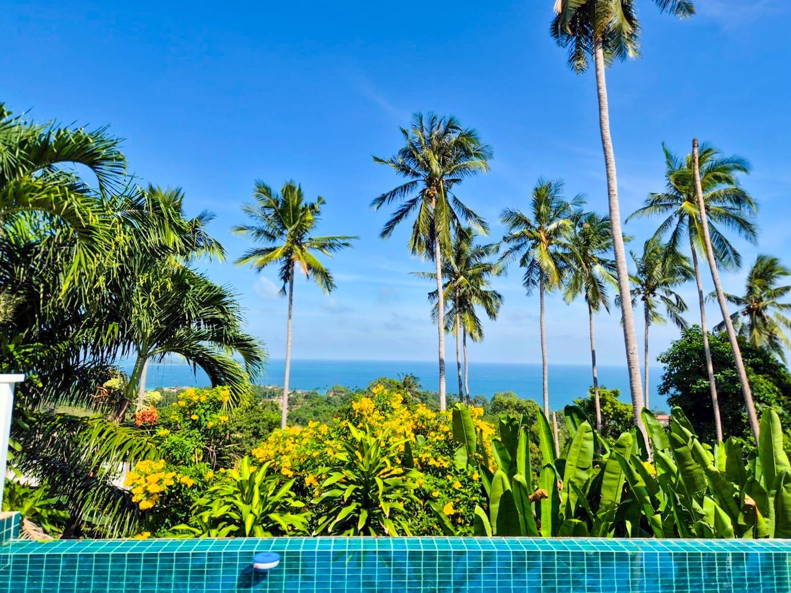 39adb2ee-4ca0-4626-b071-d3f1707080d9 VILLA THAÏLANDAISE AUTHENTIQUE 5 CHAMBRES PISCINE — VUE MER — KOH SAMUI