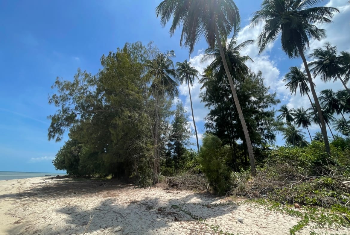 Terrain d’exception en front de mer à Lipa Noi 1400 m2