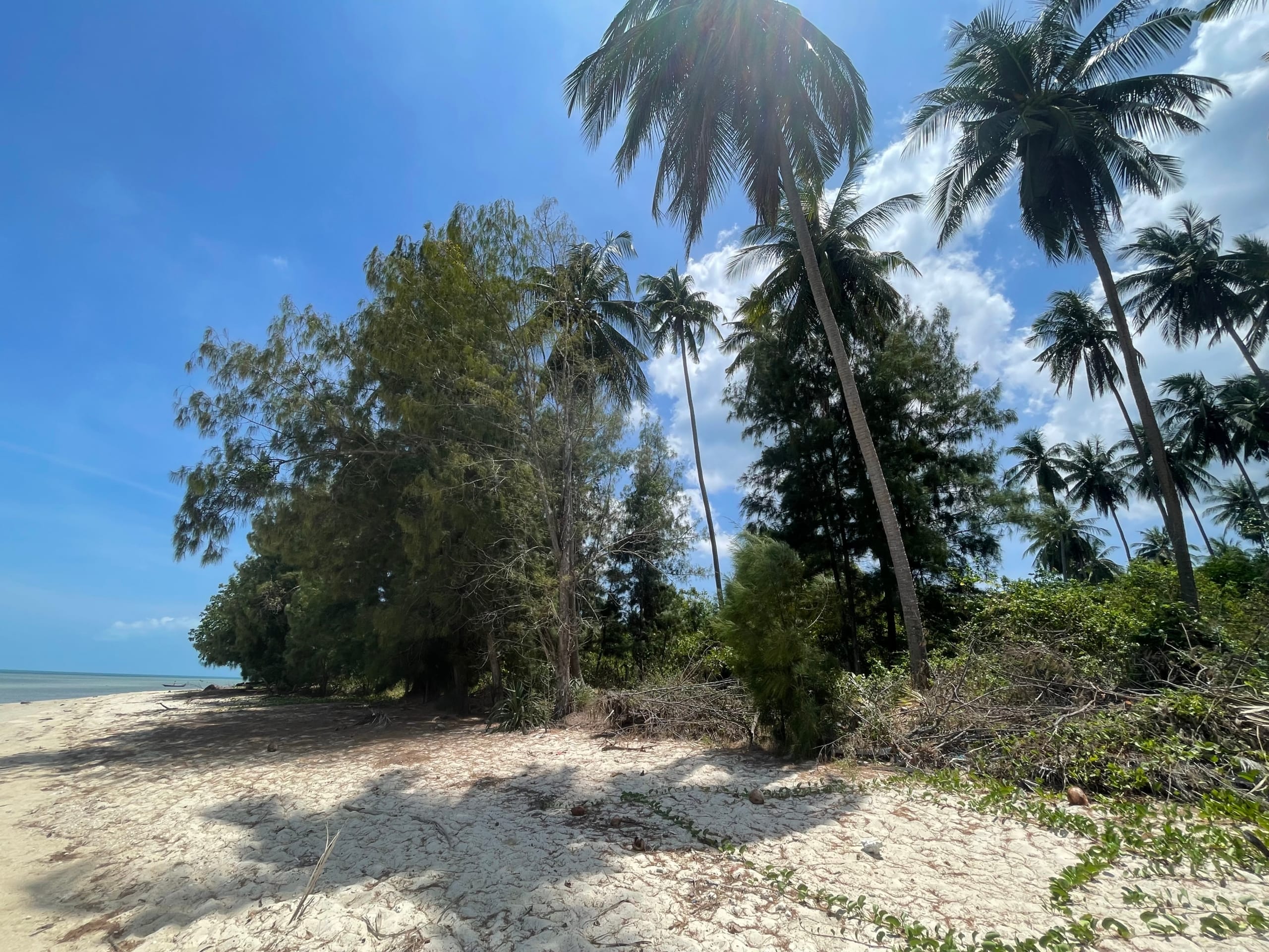Terrain d’exception en front de mer à Lipa Noi 1400 m2