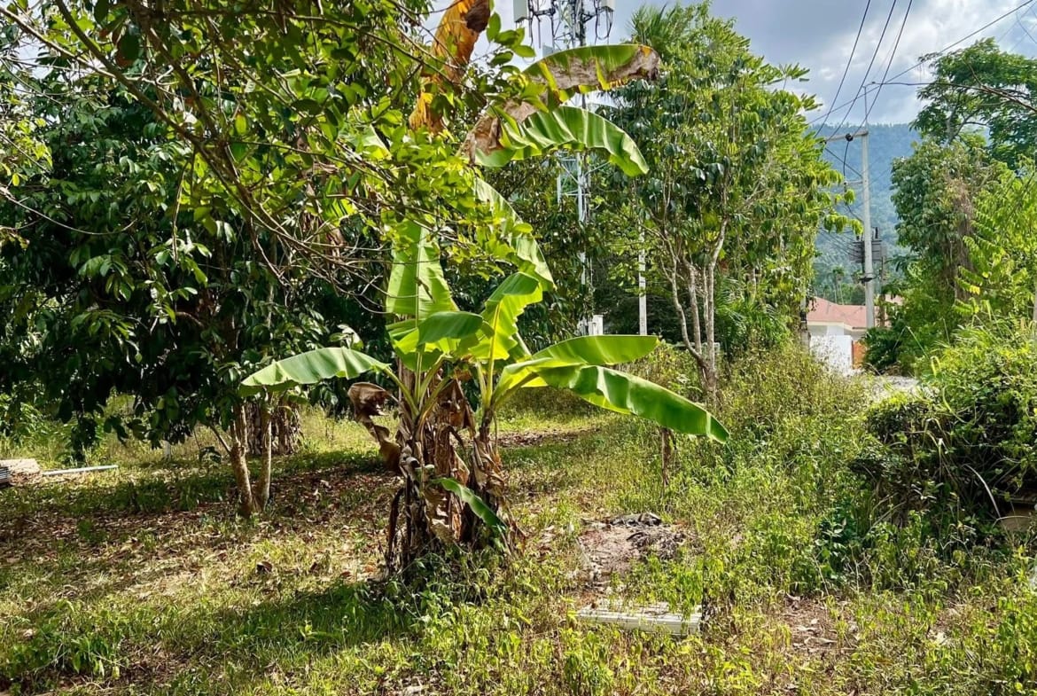 Terrain à vendre à Lamai Koh Samui – 923 m² Chanote