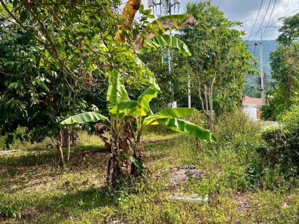 Terrain à vendre à Lamai Koh Samui – 923 m² Chanote