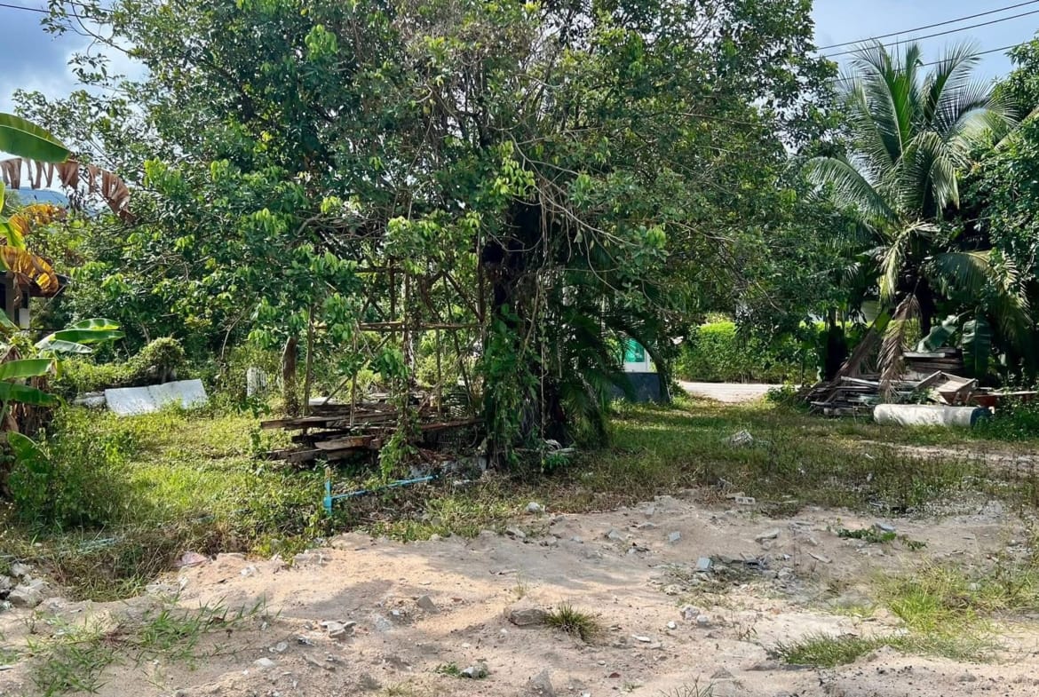 Terrain à vendre à Lamai Koh Samui – 923 m² Chanote