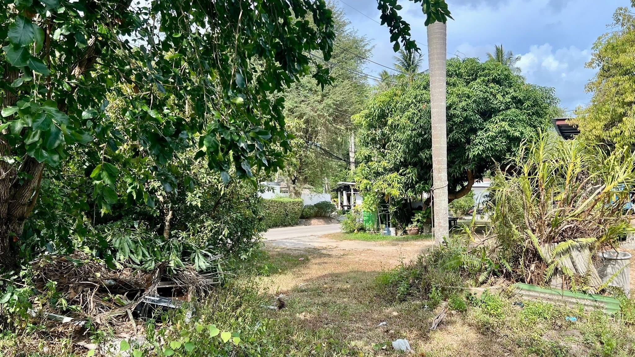 IMG_0371 Terrain à vendre à Lamai Koh Samui – 923 m² Chanote