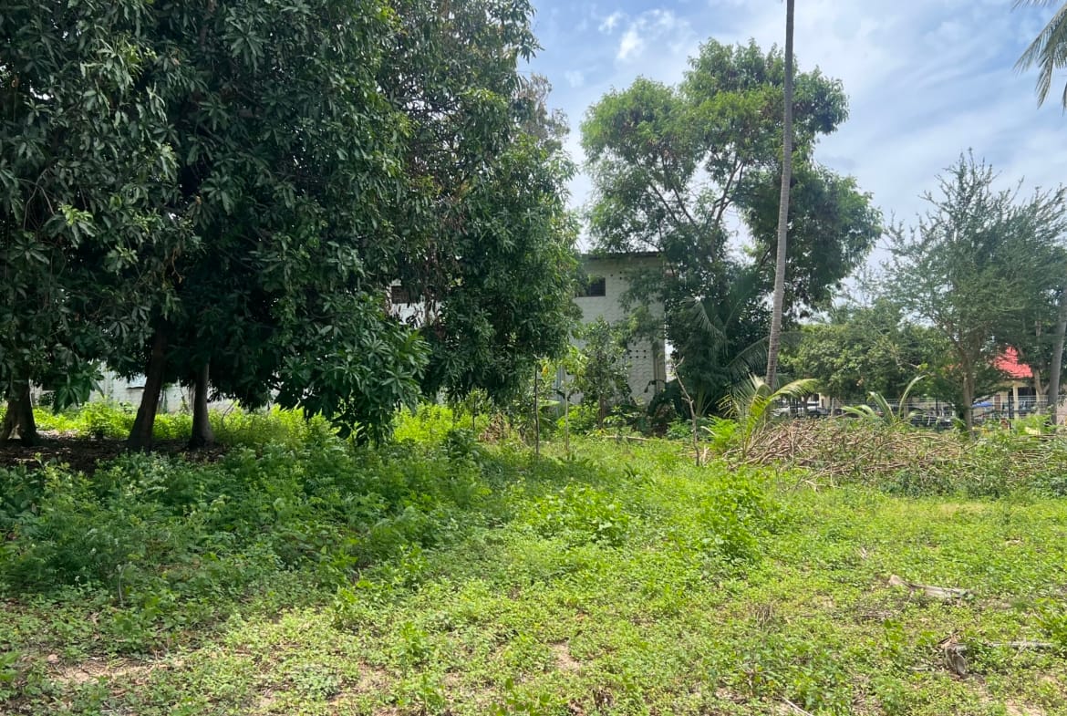 TERRAIN EN LEASEHOLD DE 1 782 M² À LOUER – CHAWENG