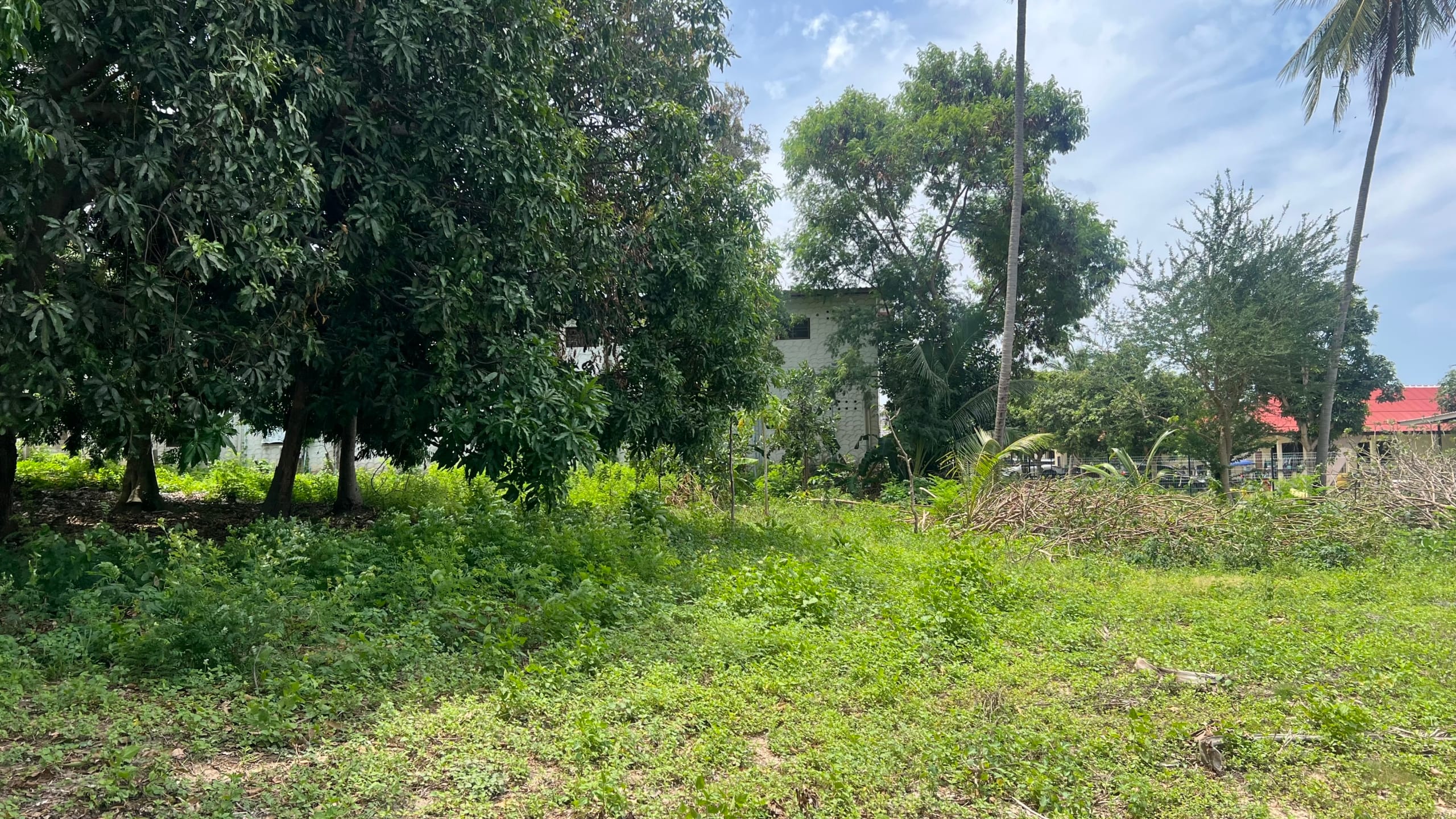 IMG_6737 TERRAIN EN LEASEHOLD DE 1 782 M² À LOUER – CHAWENG