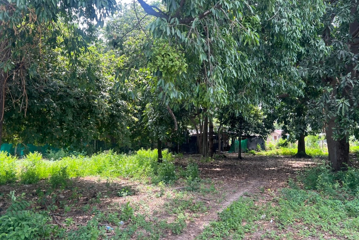 TERRAIN EN LEASEHOLD DE 1 782 M² À LOUER – CHAWENG