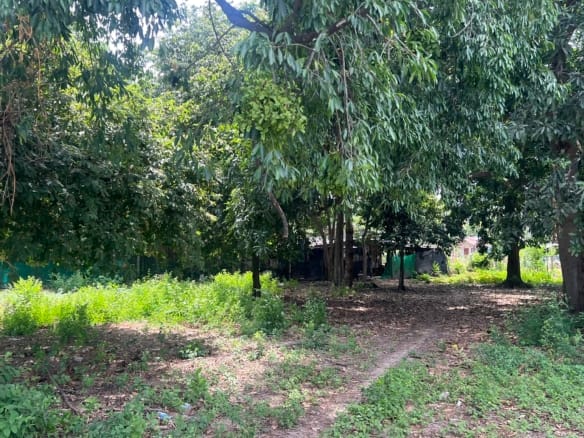 TERRAIN EN LEASEHOLD DE 1 782 M² À LOUER – CHAWENG