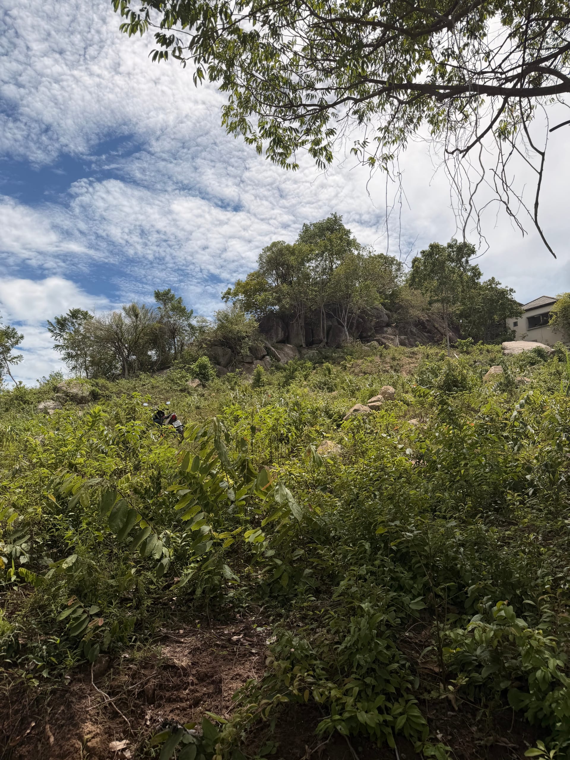 Terrain avec vue mer à vendre entre Chaweng et Plai Laem | Koh Samui