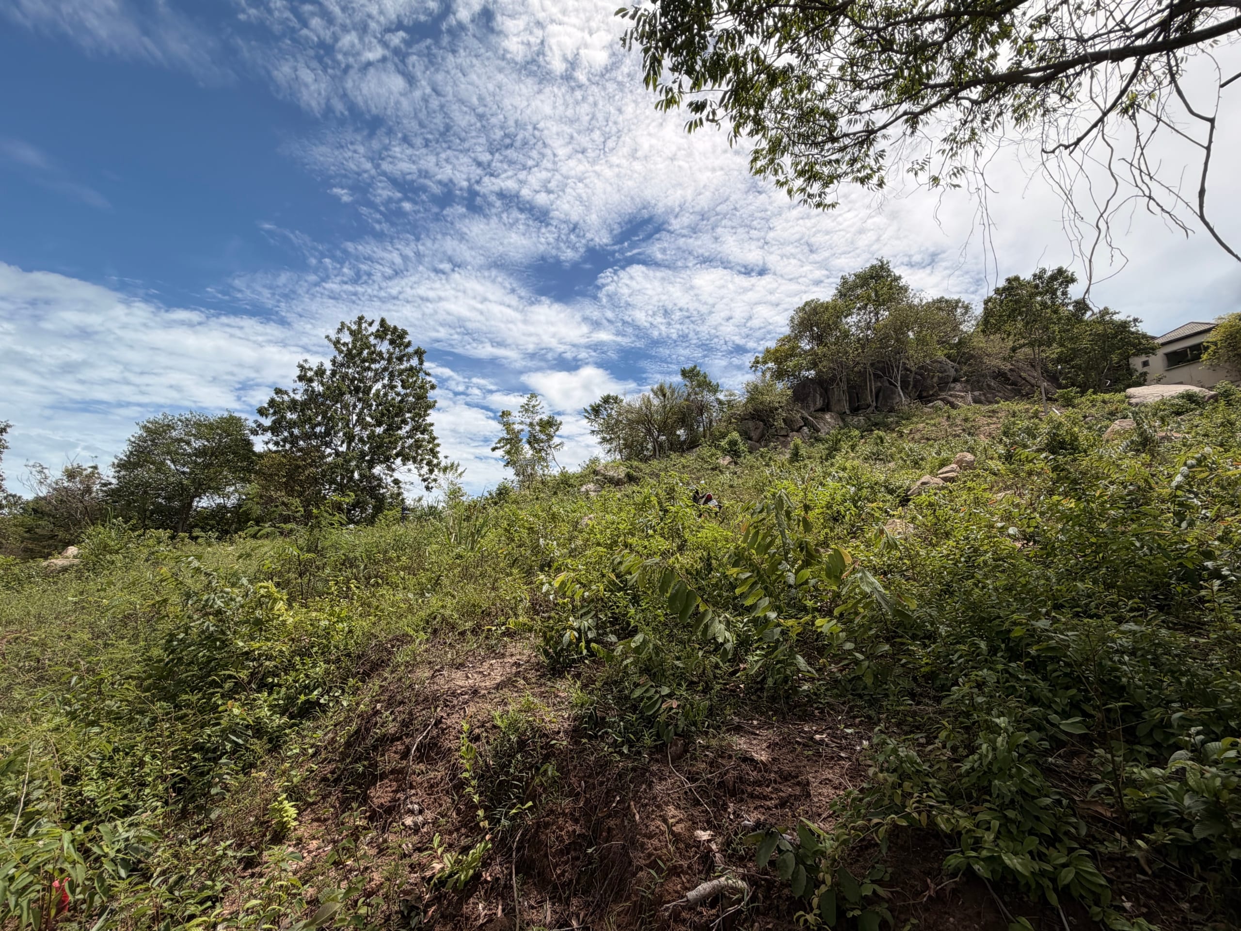 Terrain avec vue mer à vendre entre Chaweng et Plai Laem | Koh Samui