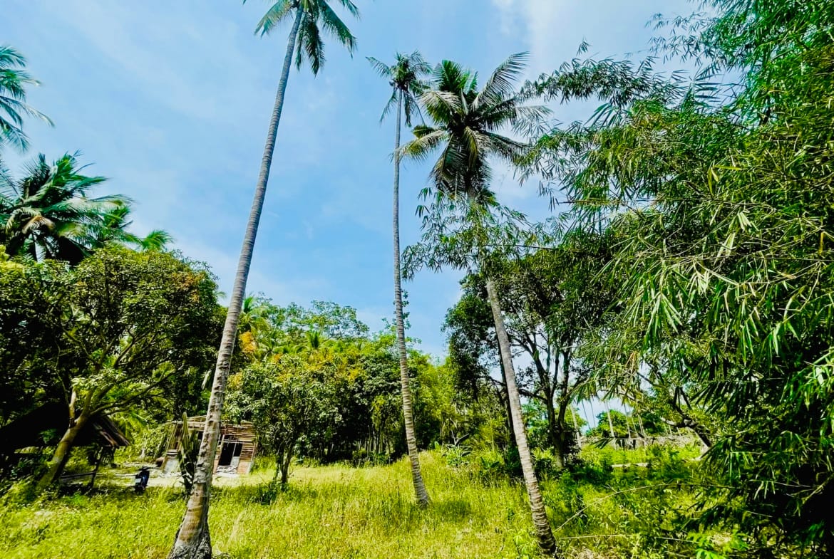 2 TERRAINS À 150M MER LAEM SOR KOH SAMUI – CHANOTE