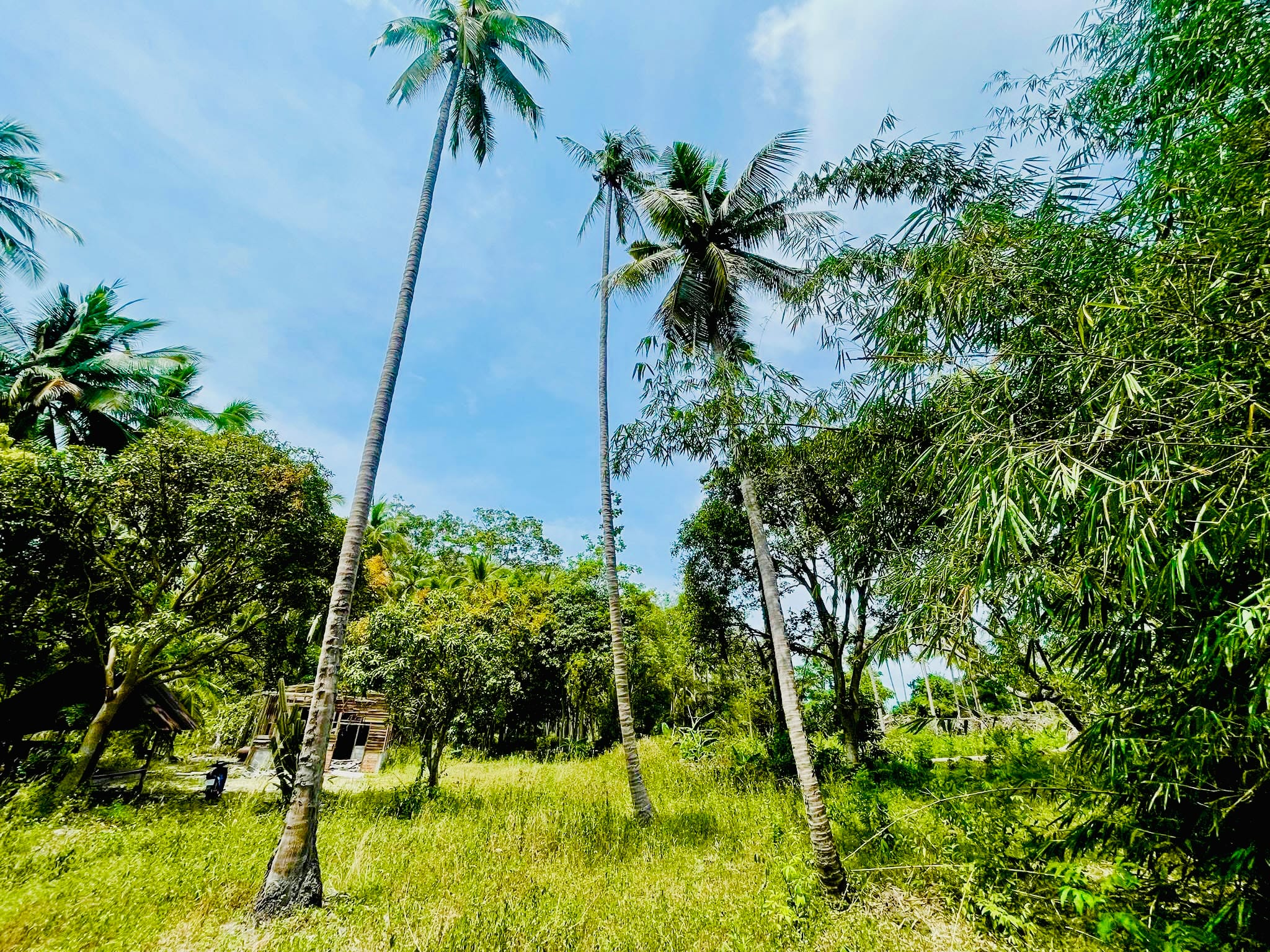 2 TERRAINS À 150M MER LAEM SOR KOH SAMUI – CHANOTE 2 TERRAINS À 150M MER LAEM SOR KOH SAMUI – CHANOTE