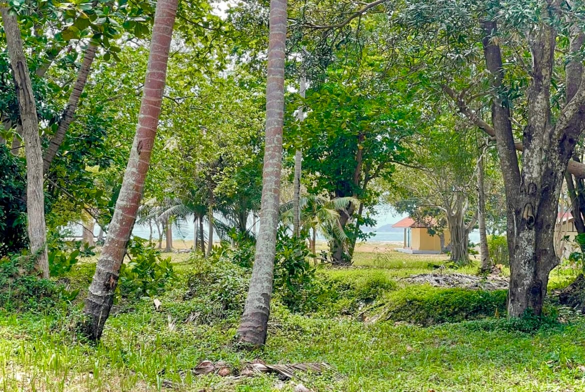 2 TERRAINS À 150M MER LAEM SOR KOH SAMUI – CHANOTE