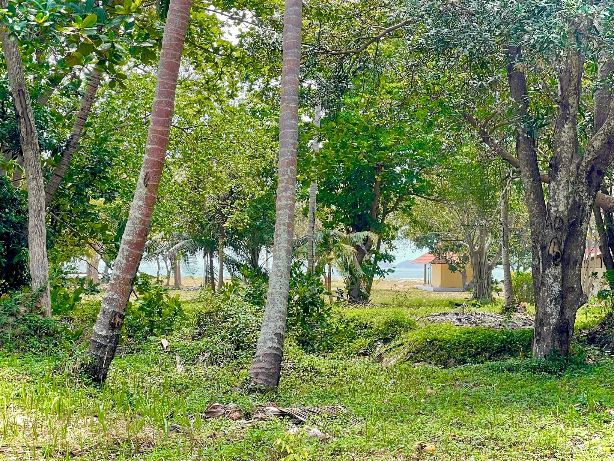 2 TERRAINS À 150M MER LAEM SOR KOH SAMUI – CHANOTE 2 TERRAINS À 150M MER LAEM SOR KOH SAMUI – CHANOTE