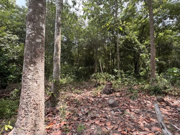 SUPERBE OPPORTUNITÉ À THONG KRUT : TERRAINS PLATS À 800M DE LA PLAGE – KOH SAMUI