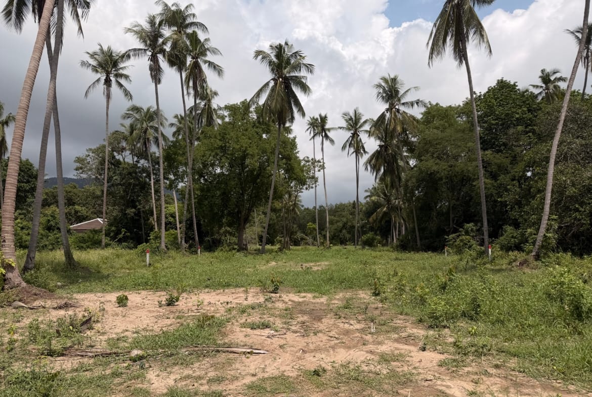 SUPERBE TERRAIN DE 1 RAI CHANOTE PROCHE PLAGE À BANG KAO – KOH SAMUI
