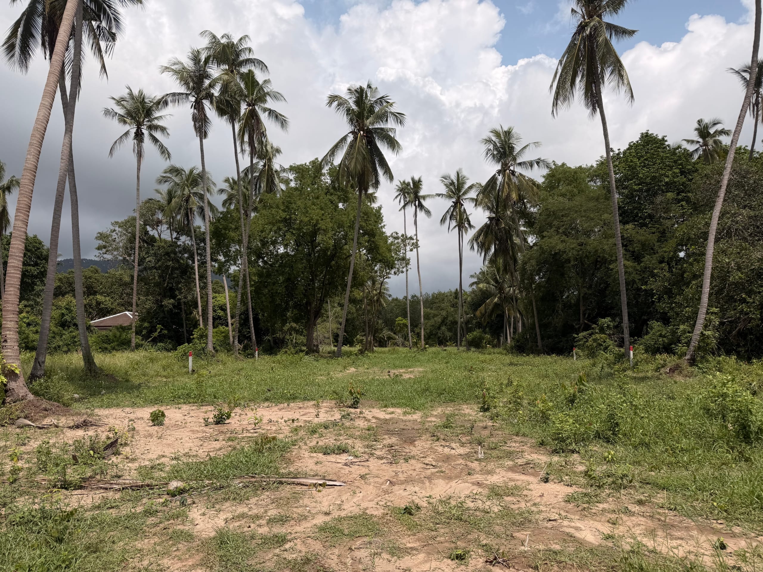 SUPERBE TERRAIN DE 1 RAI CHANOTE PROCHE PLAGE À BANG KAO – KOH SAMUI SUPERBE TERRAIN DE 1 RAI CHANOTE PROCHE PLAGE À BANG KAO – KOH SAMUI