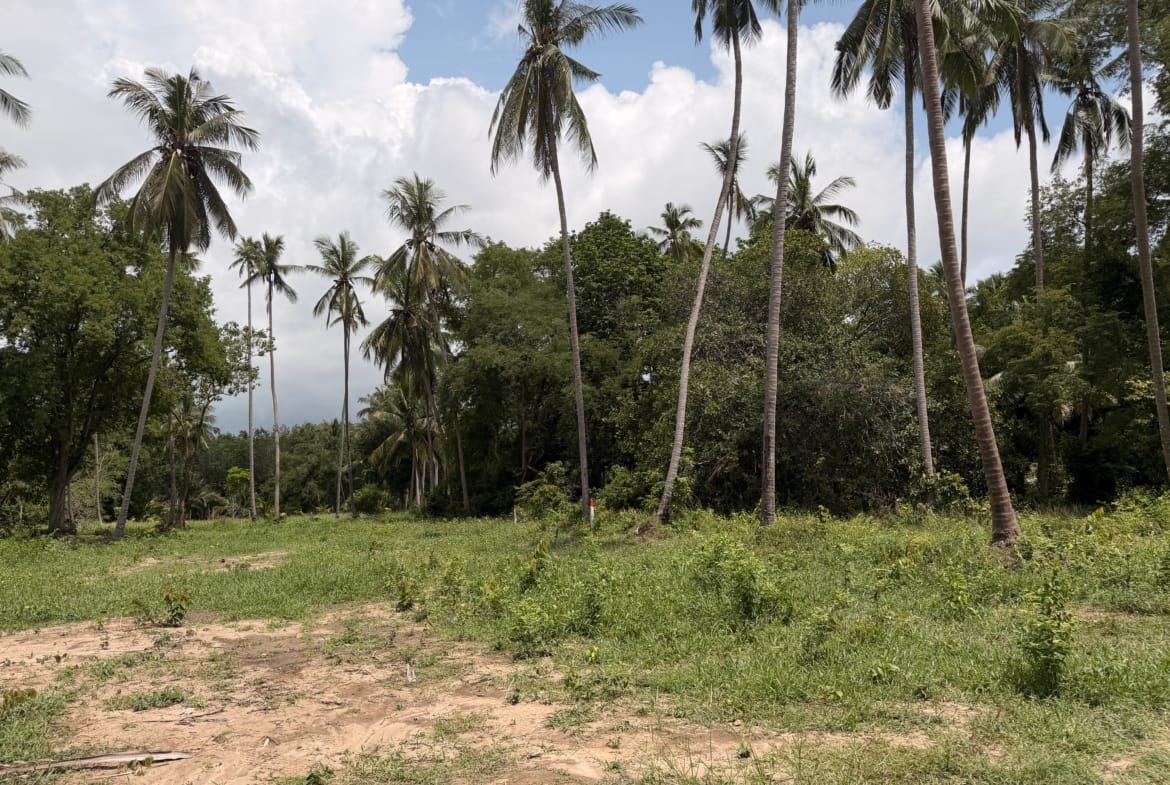 SUPERBE TERRAIN DE 1 RAI CHANOTE PROCHE PLAGE À BANG KAO – KOH SAMUI