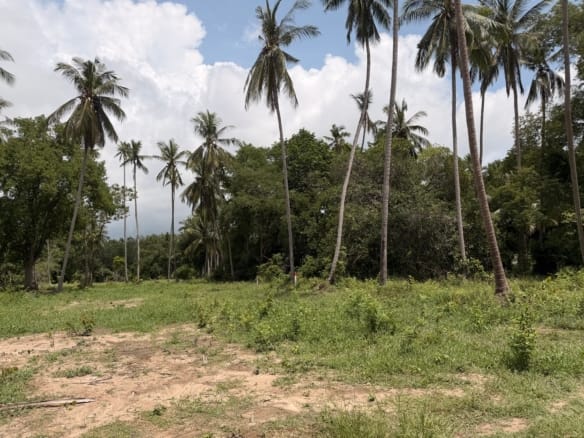 SUPERBE TERRAIN DE 1 RAI CHANOTE PROCHE PLAGE À BANG KAO – KOH SAMUI