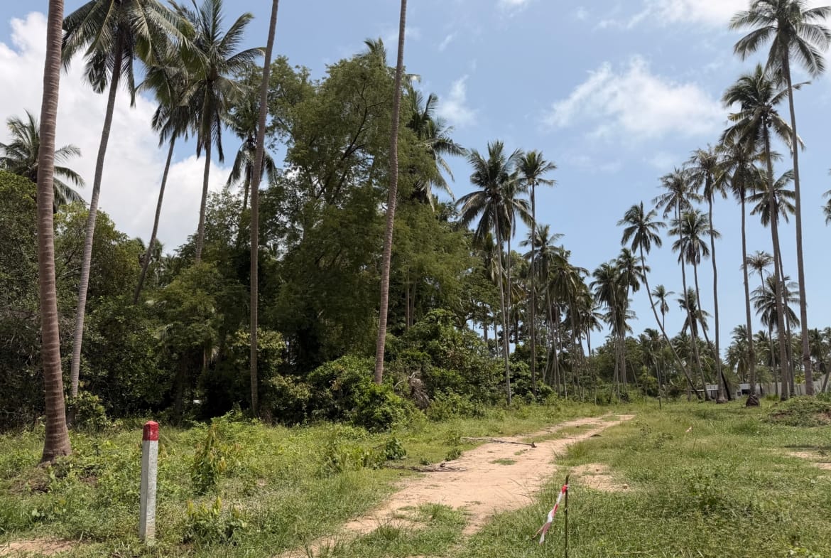 SUPERBE TERRAIN DE 1 RAI CHANOTE PROCHE PLAGE À BANG KAO – KOH SAMUI