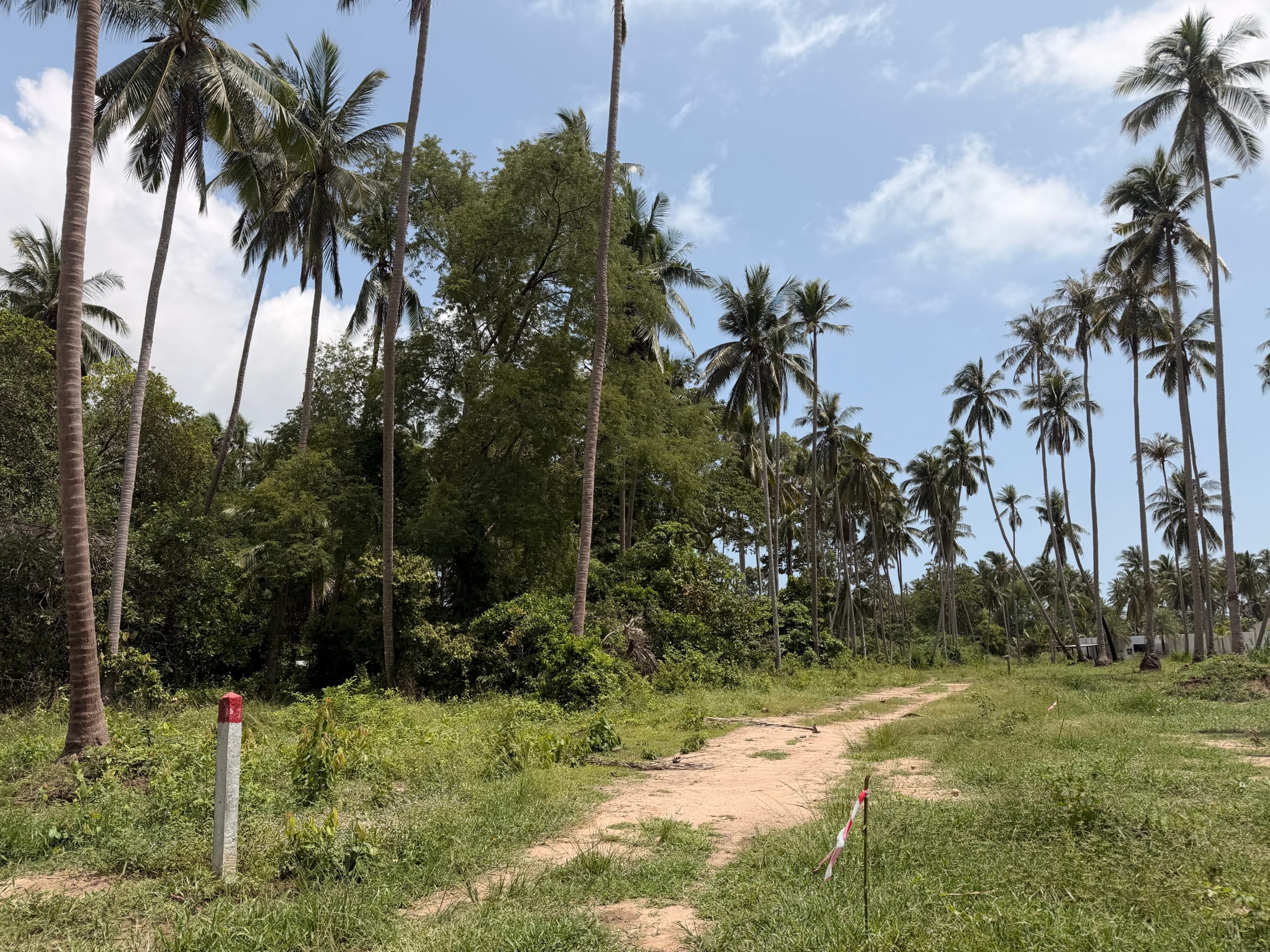 SUPERBE TERRAIN DE 1 RAI CHANOTE PROCHE PLAGE À BANG KAO – KOH SAMUI SUPERBE TERRAIN DE 1 RAI CHANOTE PROCHE PLAGE À BANG KAO – KOH SAMUI