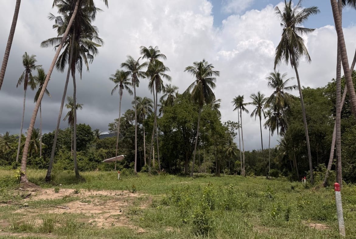 SUPERBE TERRAIN DE 1 RAI CHANOTE PROCHE PLAGE À BANG KAO – KOH SAMUI
