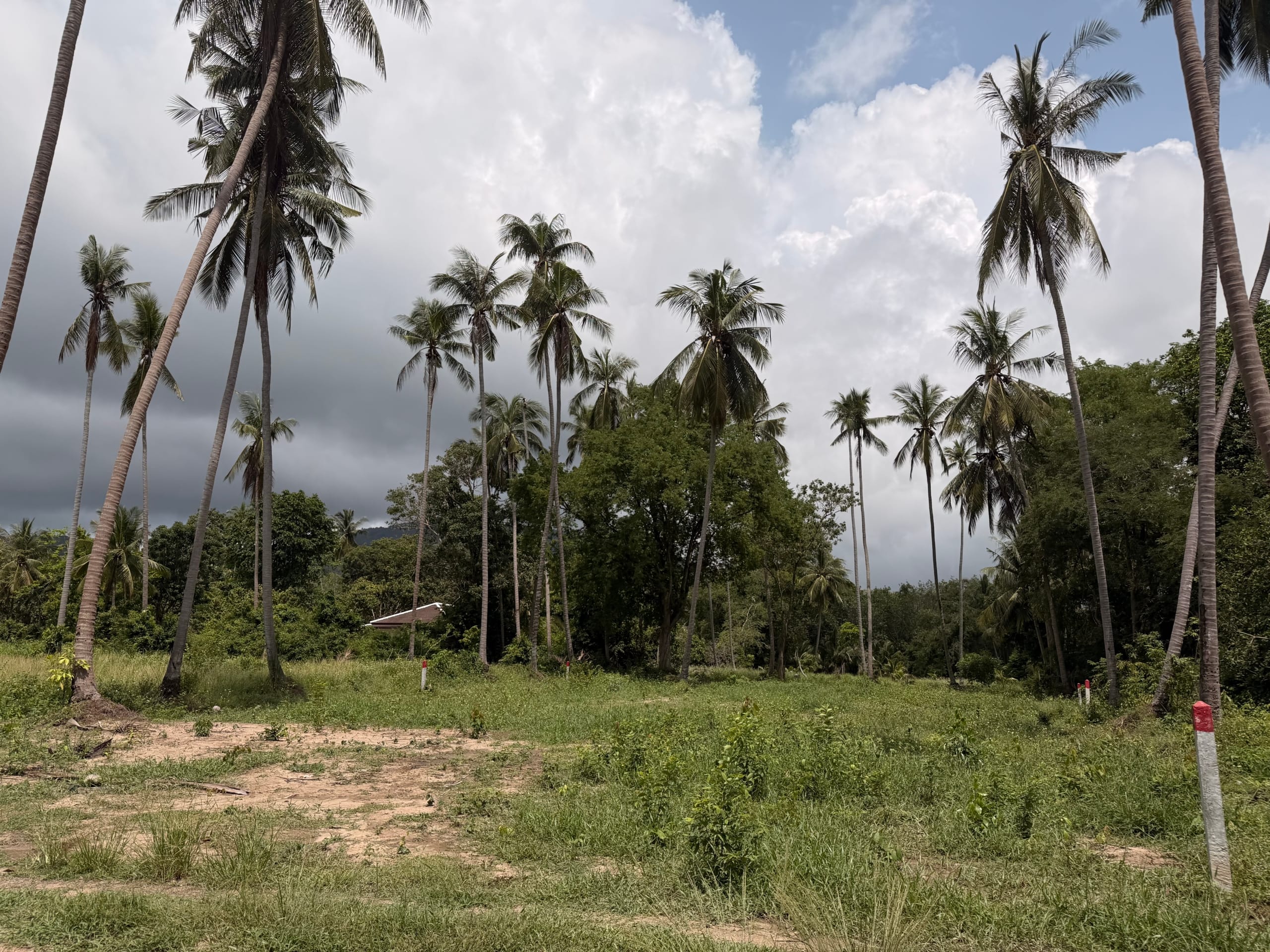 SUPERBE TERRAIN DE 1 RAI CHANOTE PROCHE PLAGE À BANG KAO – KOH SAMUI SUPERBE TERRAIN DE 1 RAI CHANOTE PROCHE PLAGE À BANG KAO – KOH SAMUI