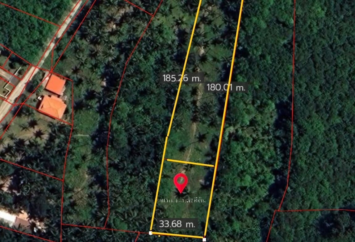 TERRAIN PLAT DE 3 RAI AVEC CHANOTE À THONG KRUT – KOH SAMUI